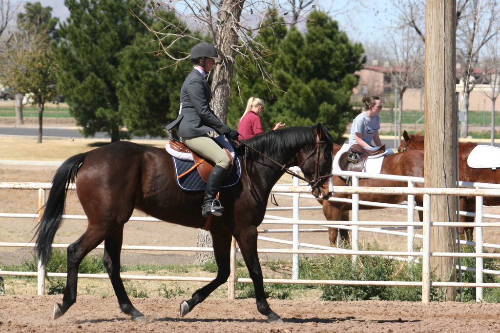 alex/nmsu_d2_flat/nmsu_flat_d2_0089.jpg