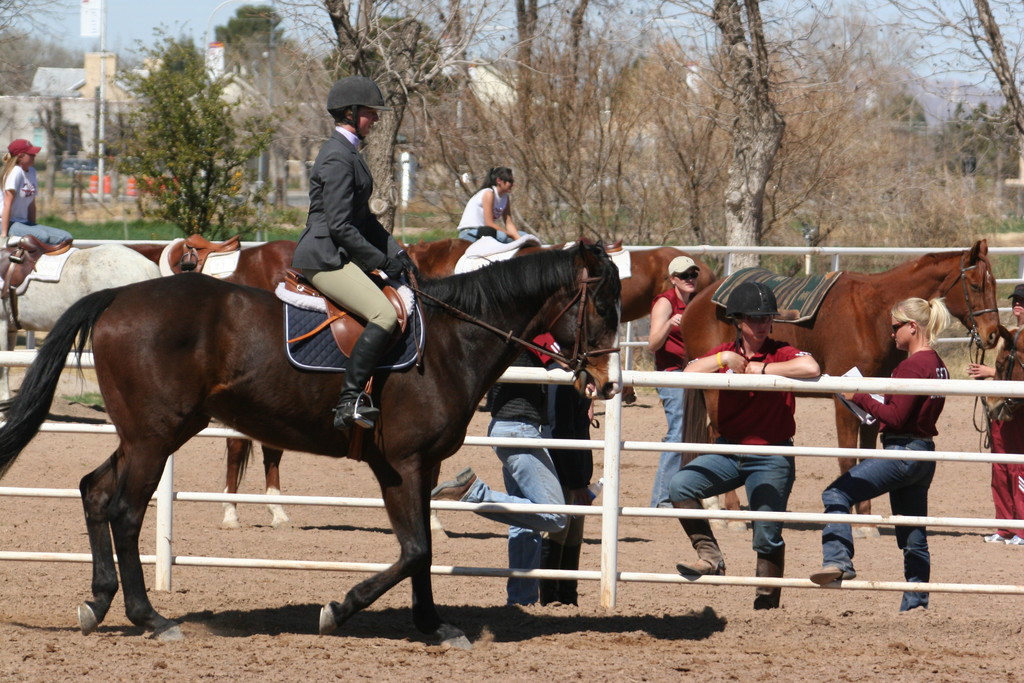 alex/nmsu_d2_flat/nmsu_flat_d2_0090.jpg