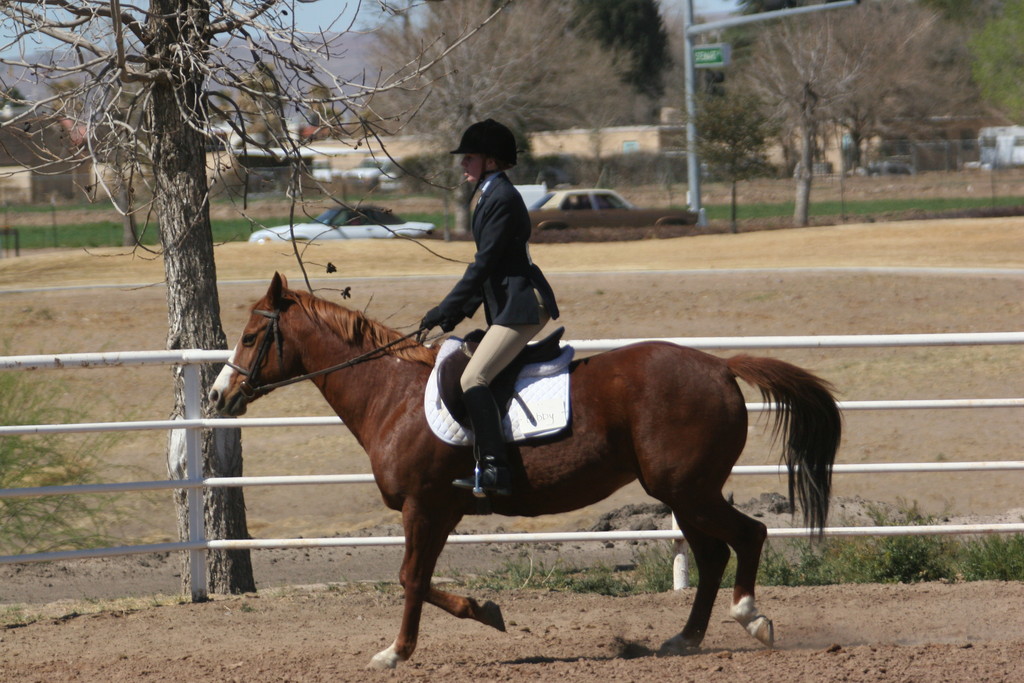 alex/nmsu_d2_flat/nmsu_flat_d2_0103.jpg