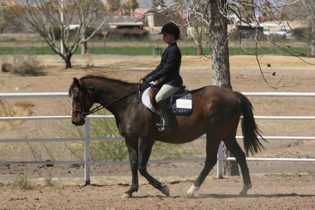 alex/nmsu_d2_flat/nmsu_flat_d2_0114.jpg