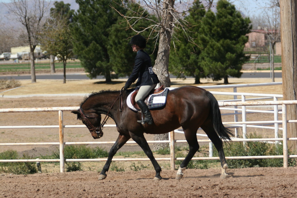alex/nmsu_d2_flat/nmsu_flat_d2_0121.jpg