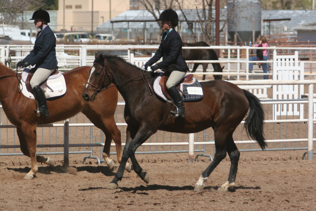 alex/nmsu_d2_flat/nmsu_flat_d2_0123.jpg