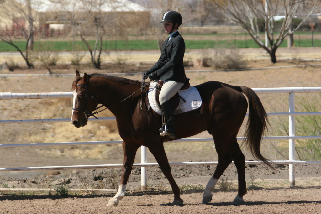alex/nmsu_d2_flat/nmsu_flat_d2_0144.jpg