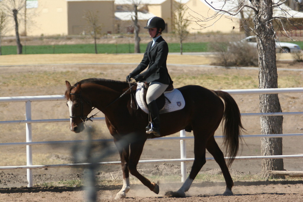 alex/nmsu_d2_flat/nmsu_flat_d2_0145.jpg