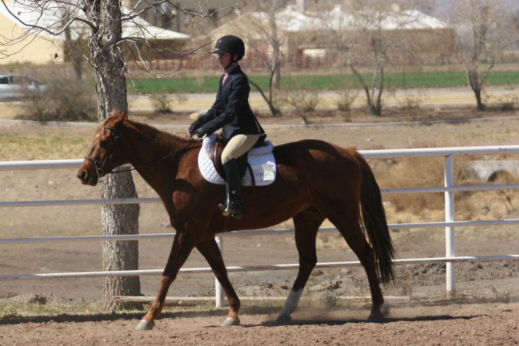 alex/nmsu_d2_flat/nmsu_flat_d2_0151.jpg