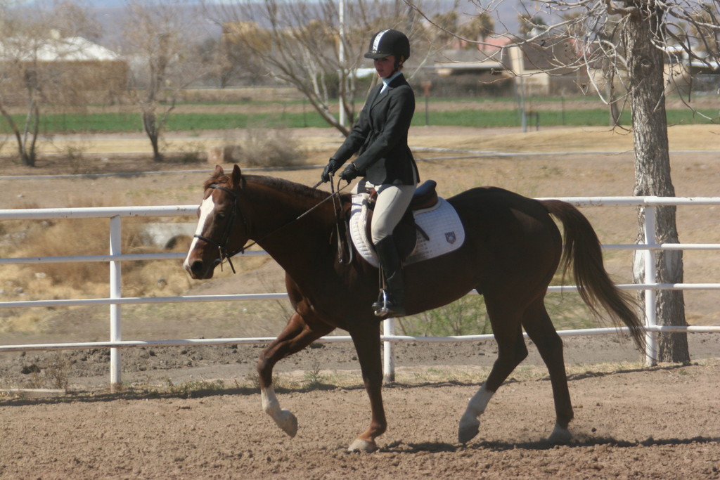 alex/nmsu_d2_flat/nmsu_flat_d2_0155.jpg