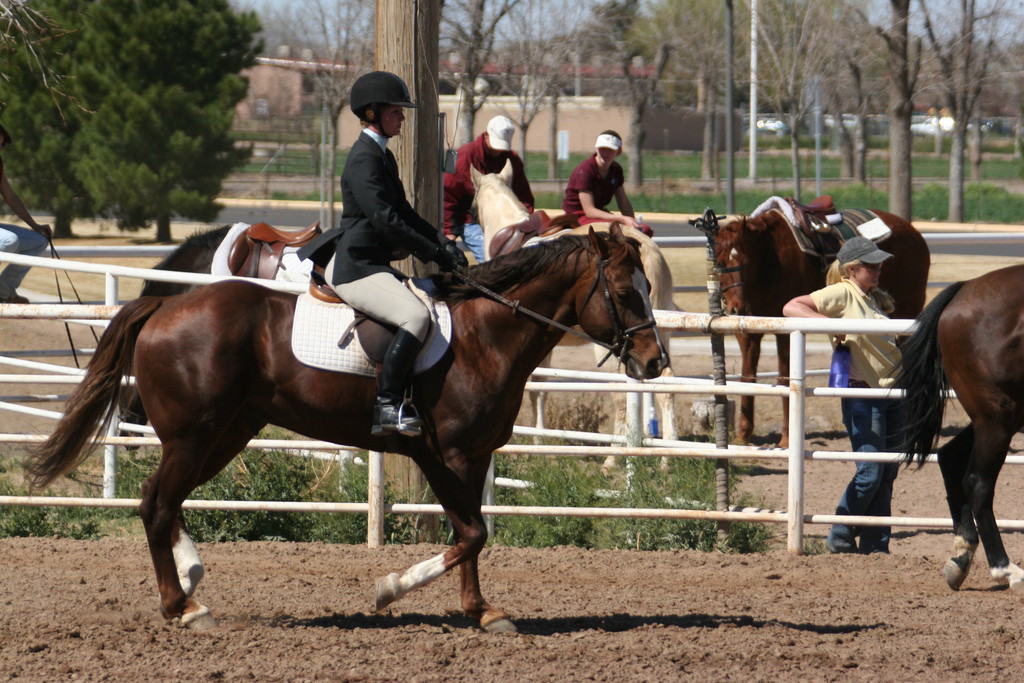 alex/nmsu_d2_flat/nmsu_flat_d2_0170.jpg