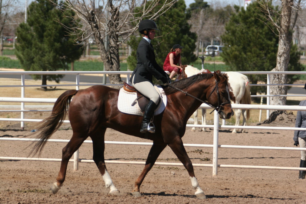 alex/nmsu_d2_flat/nmsu_flat_d2_0171.jpg