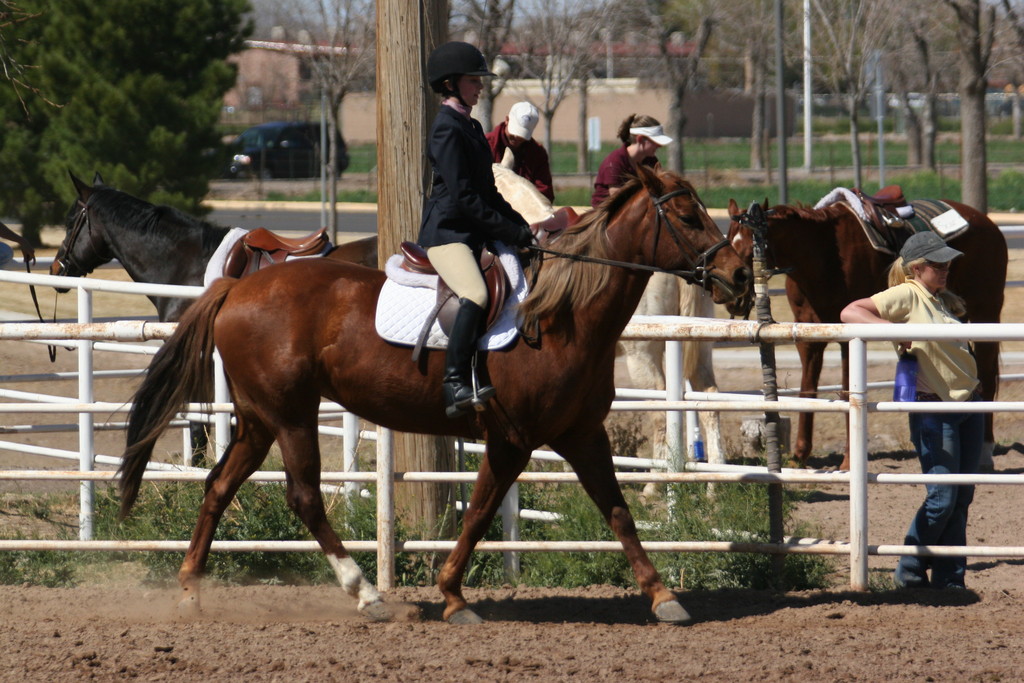 alex/nmsu_d2_flat/nmsu_flat_d2_0172.jpg