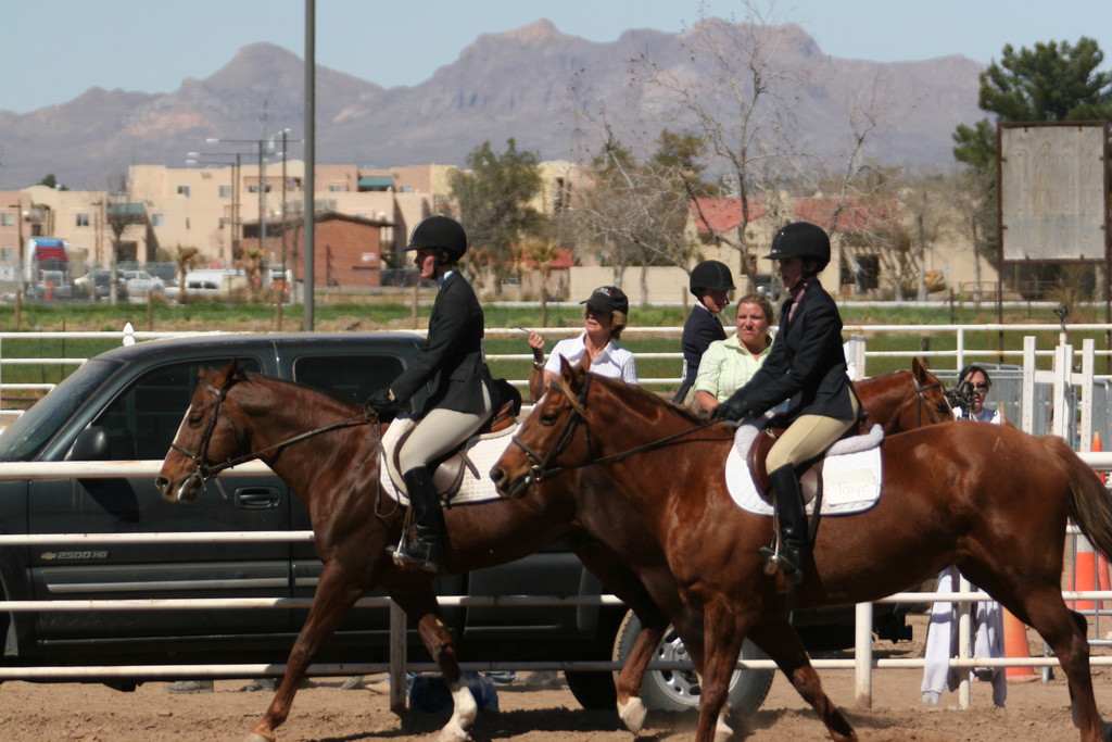 alex/nmsu_d2_flat/nmsu_flat_d2_0185.jpg