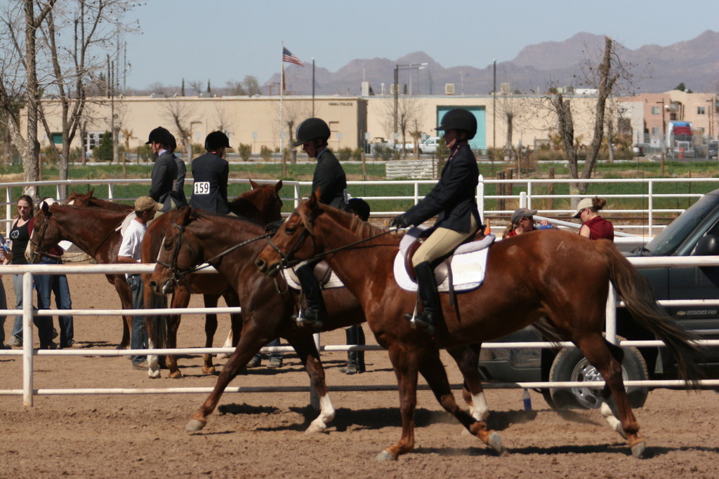 alex/nmsu_d2_flat/nmsu_flat_d2_0186.jpg