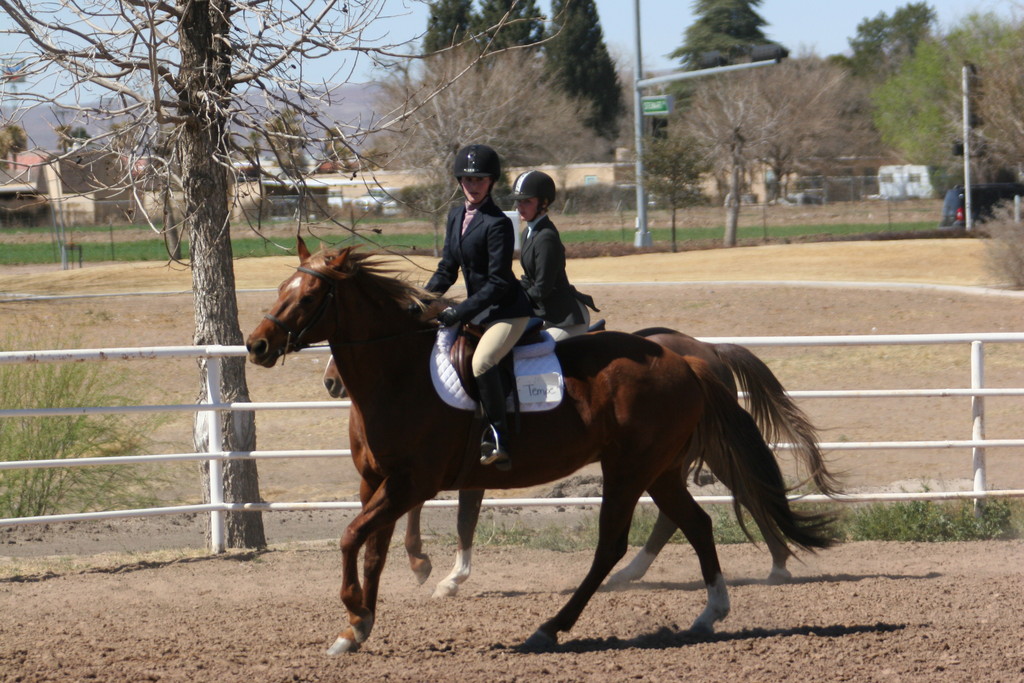 alex/nmsu_d2_flat/nmsu_flat_d2_0188.jpg