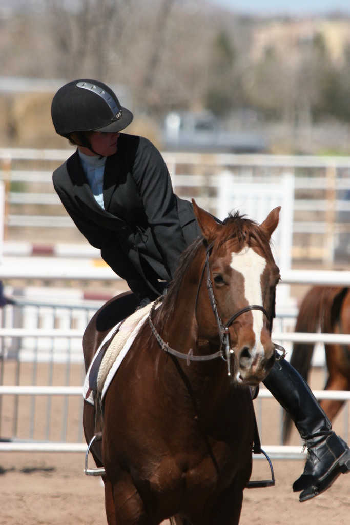 alex/nmsu_d2_flat/nmsu_flat_d2_0196.jpg