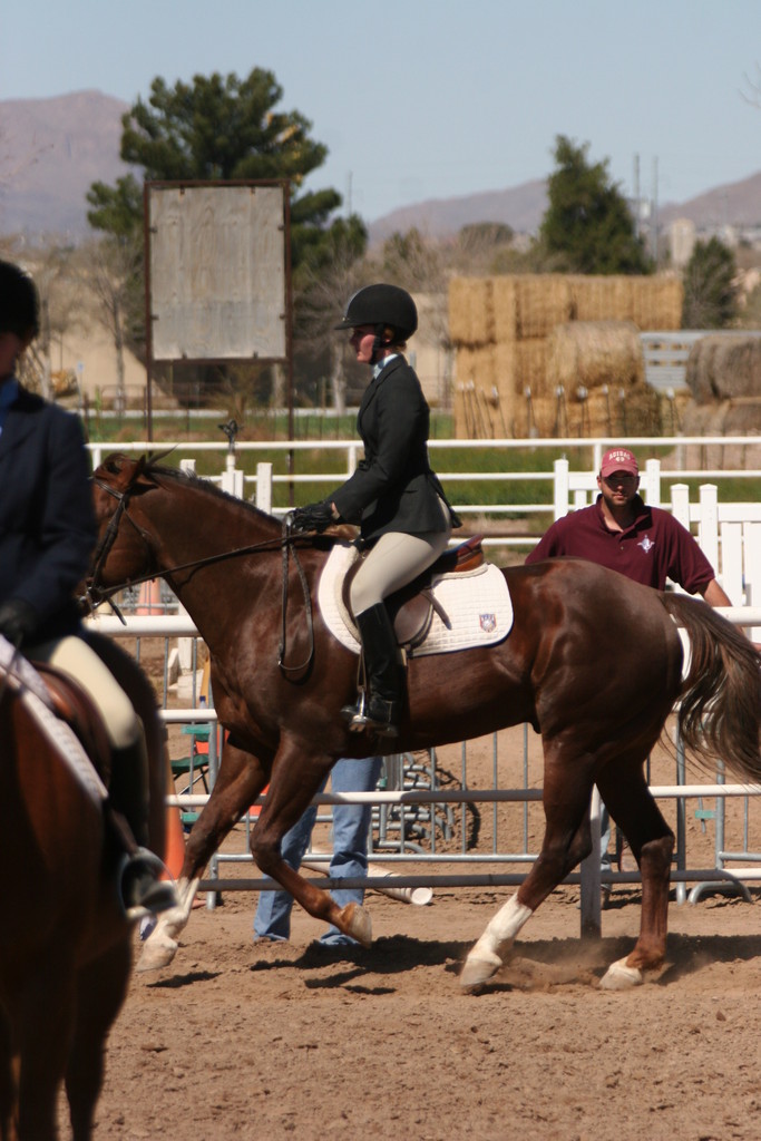 alex/nmsu_d2_flat/nmsu_flat_d2_0203.jpg