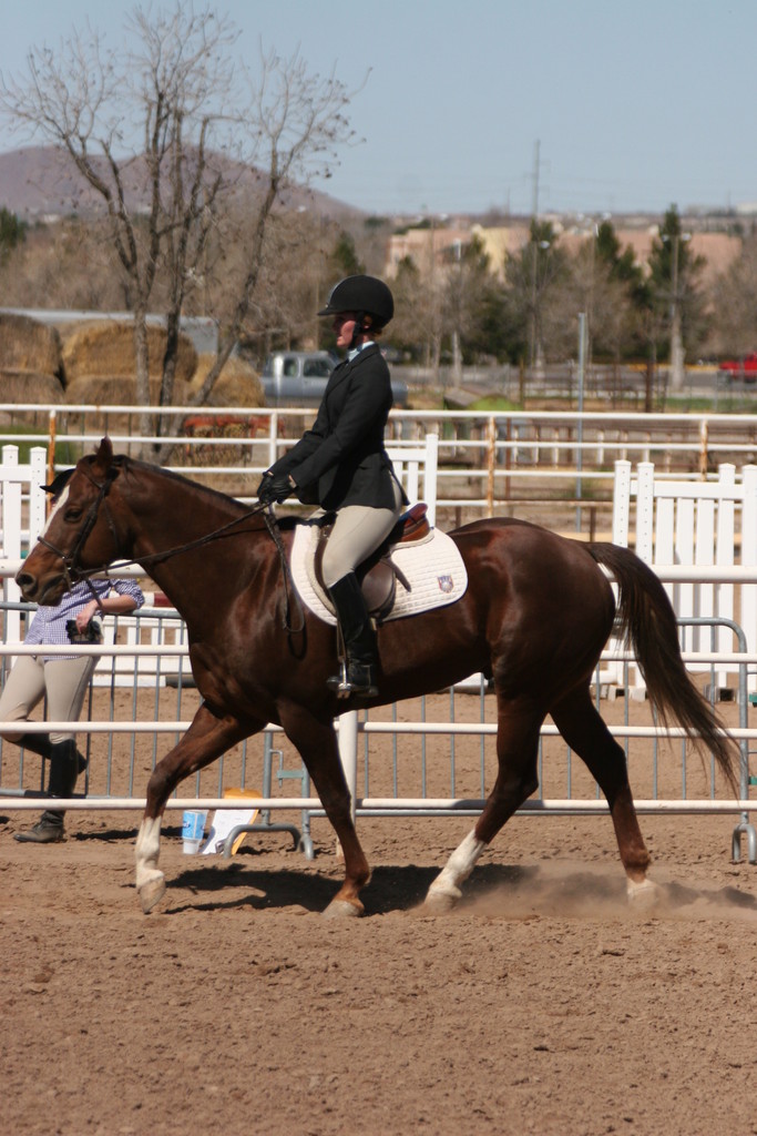 alex/nmsu_d2_flat/nmsu_flat_d2_0207.jpg