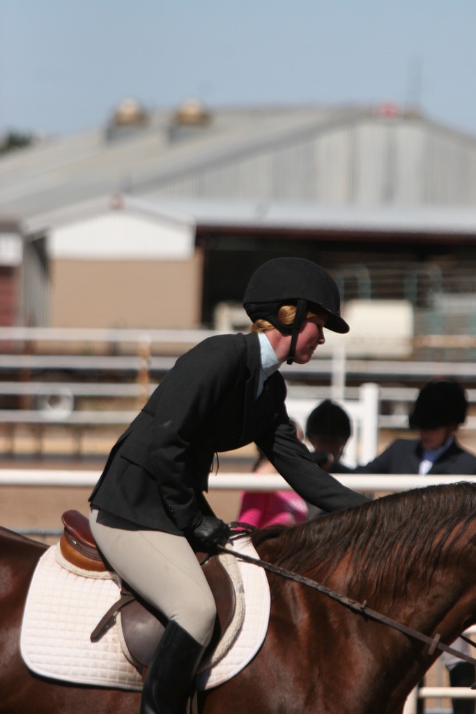 alex/nmsu_d2_flat/nmsu_flat_d2_0233.jpg