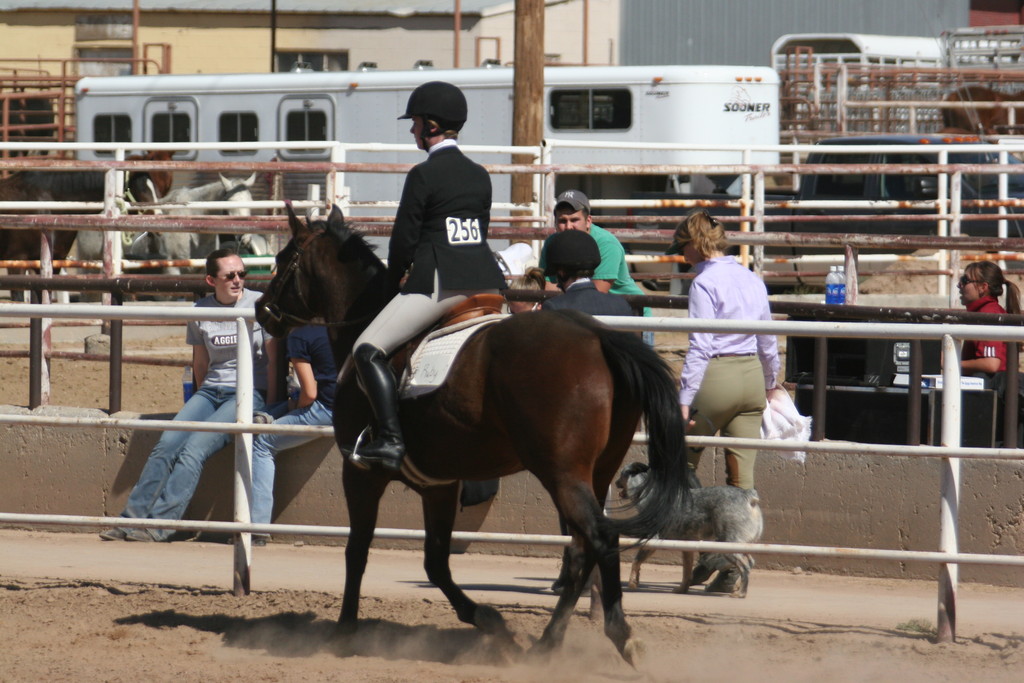 alex/nmsu_d2_flat/nmsu_flat_d2_0240.jpg