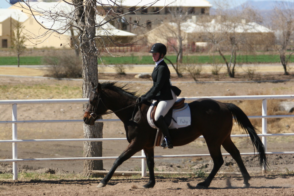 alex/nmsu_d2_flat////nmsu_flat_d2_0250.jpg