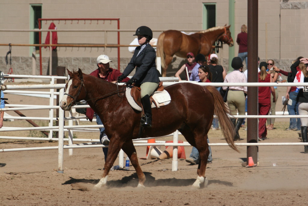 alex/nmsu_d2_flat//nmsu_flat_d2_0273.jpg