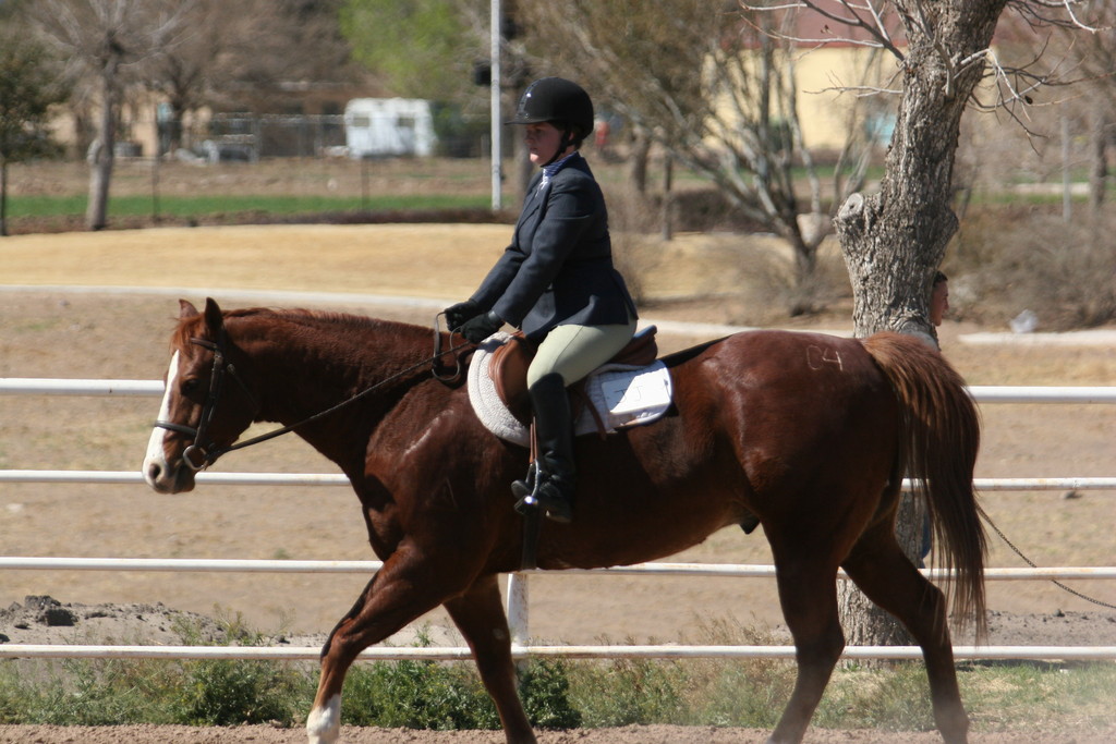alex/nmsu_d2_flat/nmsu_flat_d2_0275.jpg