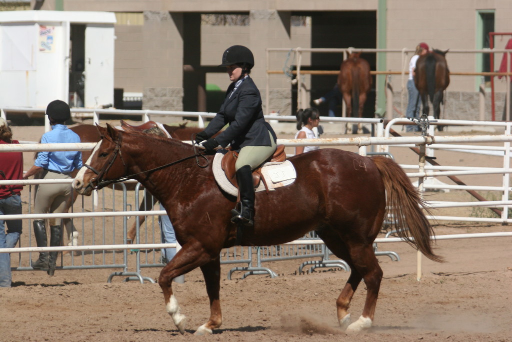 alex/nmsu_d2_flat/nmsu_flat_d2_0279.jpg