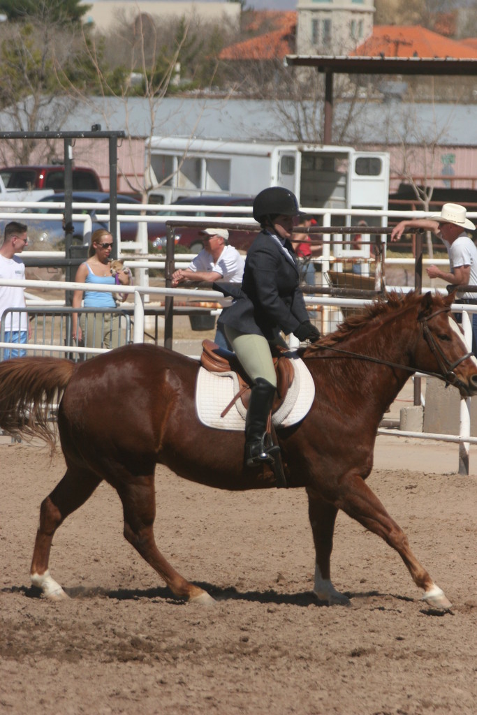 alex/nmsu_d2_flat//nmsu_flat_d2_0293.jpg
