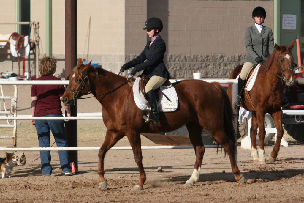 alex/nmsu_d2_flat/nmsu_flat_d2_0302.jpg