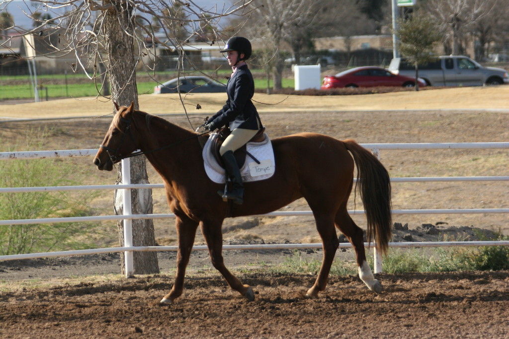 alex/nmsu_d2_flat/nmsu_flat_d2_0305.jpg