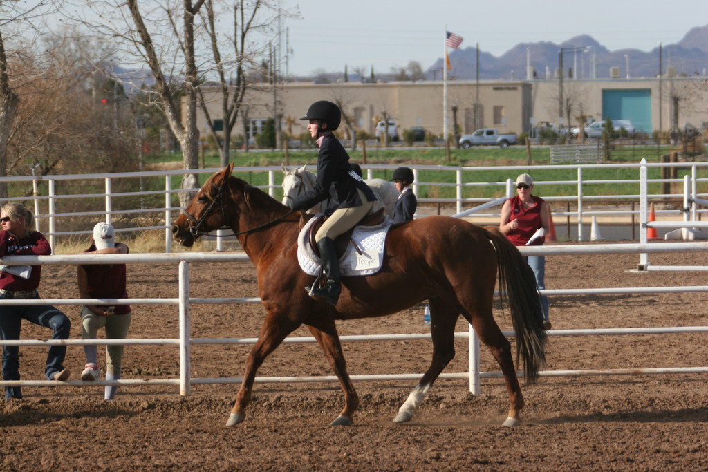 alex/nmsu_d2_flat/nmsu_flat_d2_0311.jpg