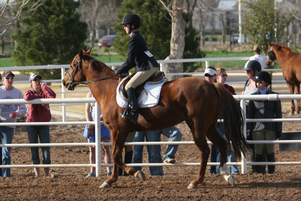 alex/nmsu_d2_flat/nmsu_flat_d2_0312.jpg