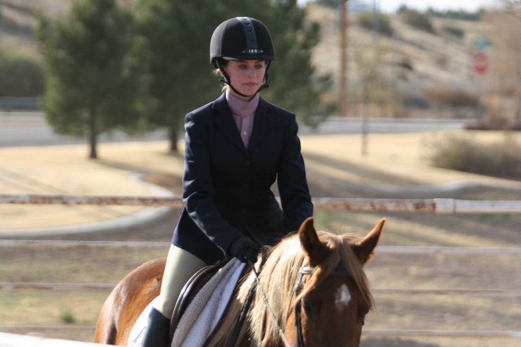 alex/nmsu_d2_flat/nmsu_flat_d2_0313.jpg