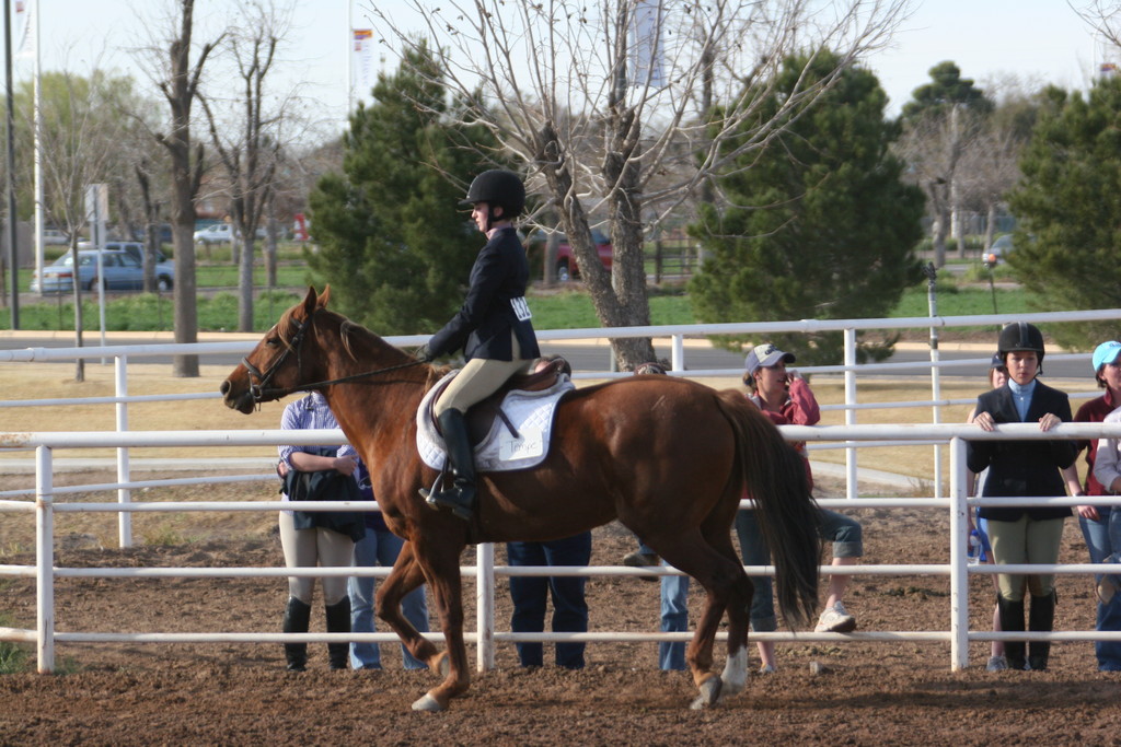 alex/nmsu_d2_flat/nmsu_flat_d2_0314.jpg