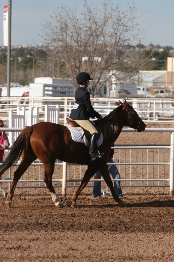 alex/nmsu_d2_flat/nmsu_flat_d2_0323.jpg