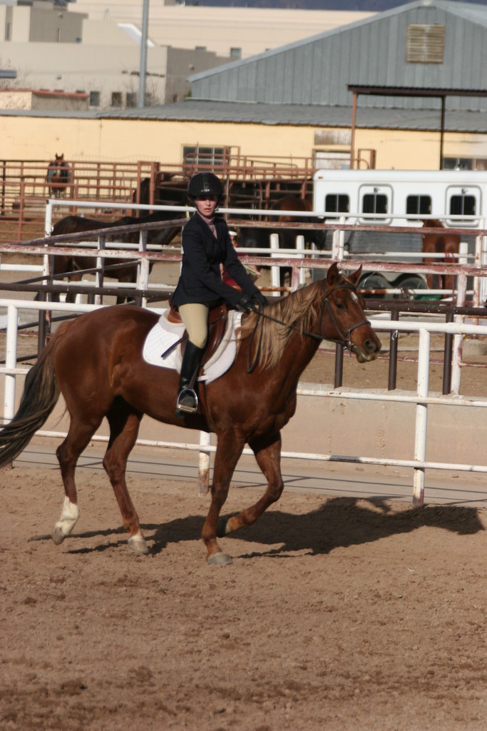alex/nmsu_d2_flat/nmsu_flat_d2_0325.jpg