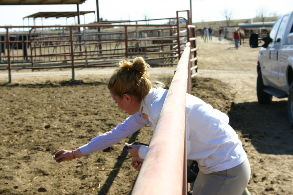 alex/nmsu_teamfun/nmsu_teamfun_0041.jpg