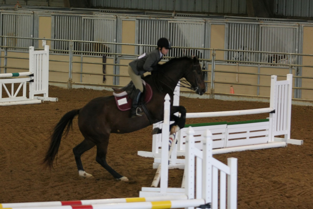 alex/ttu_tamu_show/img_0062.jpg