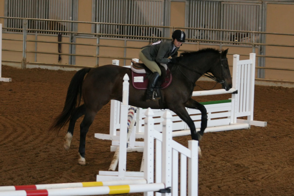 alex/ttu_tamu_show/img_0063.jpg