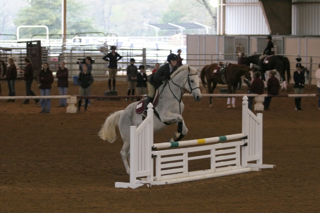 alex/ttu_tamu_show/img_0066.jpg