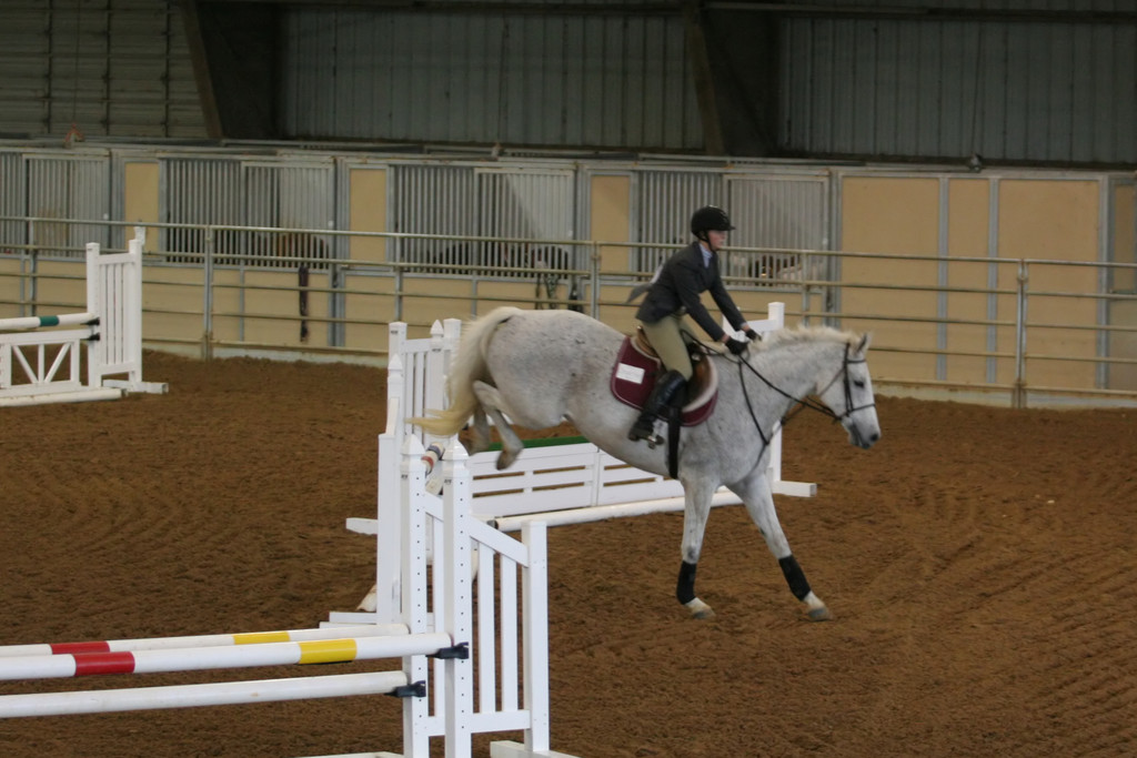 alex/ttu_tamu_show/img_0072.jpg