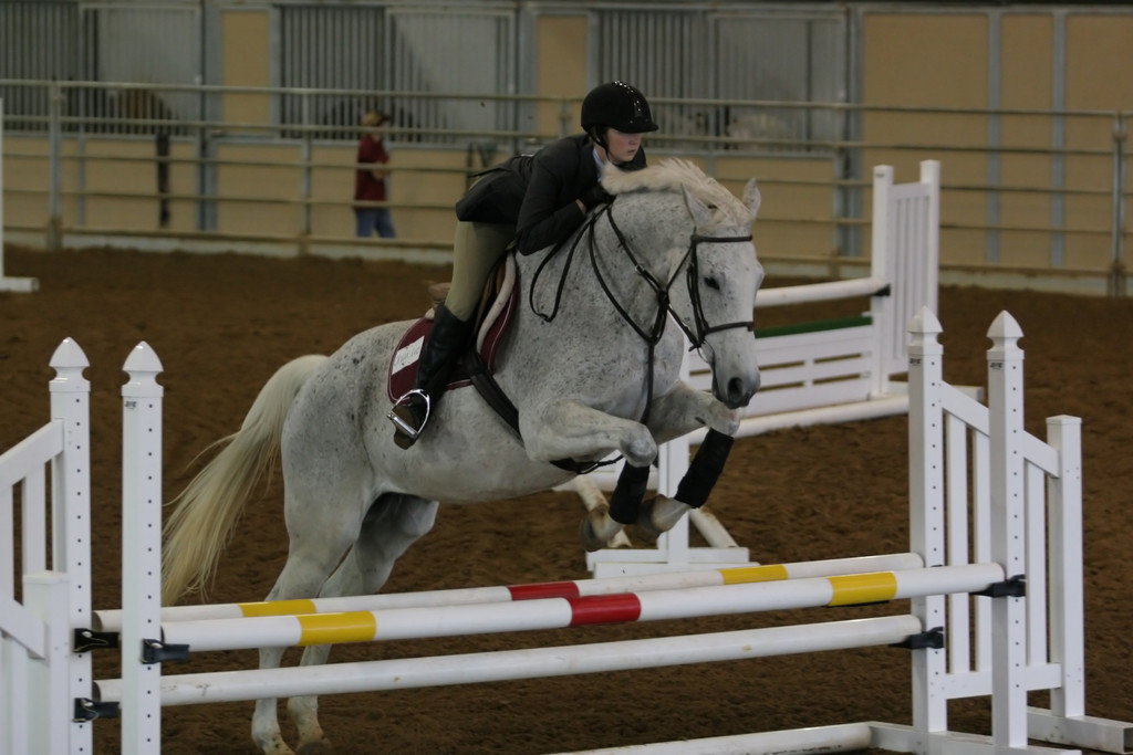 alex/ttu_tamu_show/img_0076.jpg