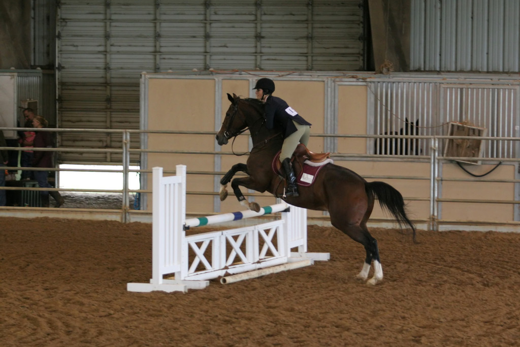 alex/ttu_tamu_show/img_0082.jpg