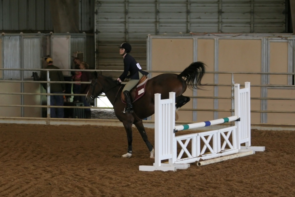 alex/ttu_tamu_show/img_0084.jpg