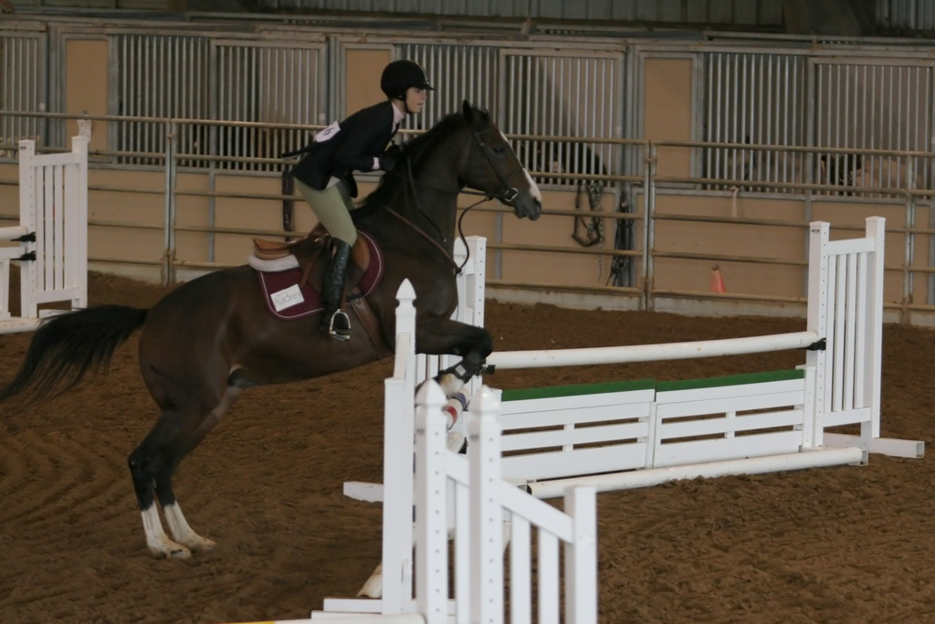 alex/ttu_tamu_show/img_0085.jpg