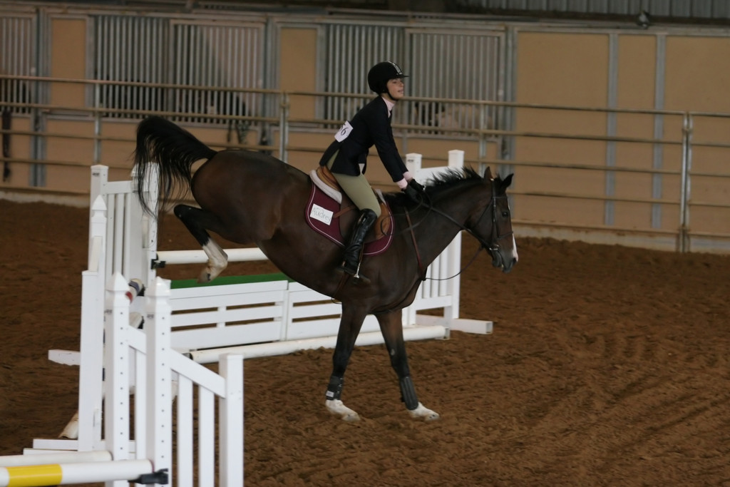 alex/ttu_tamu_show/img_0087.jpg