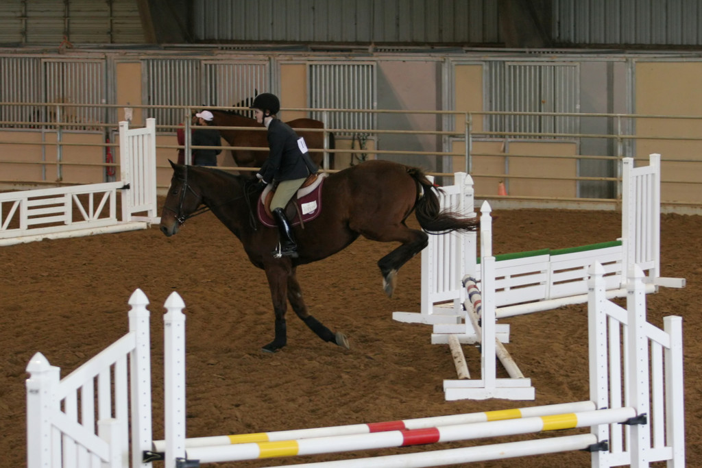 alex/ttu_tamu_show/img_0113.jpg