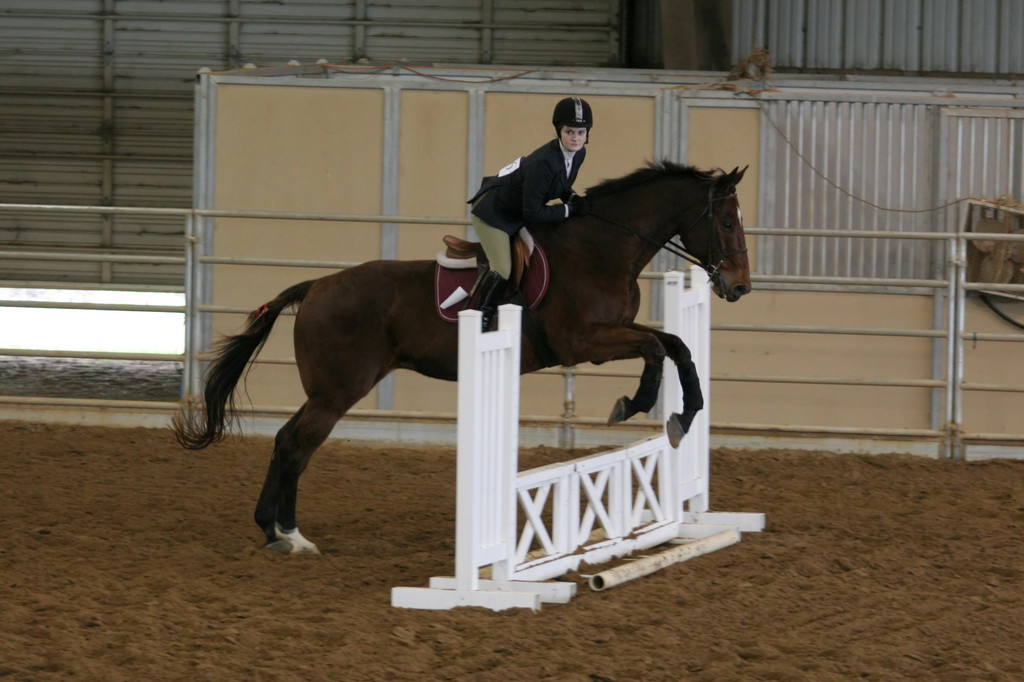 alex/ttu_tamu_show/img_0114.jpg