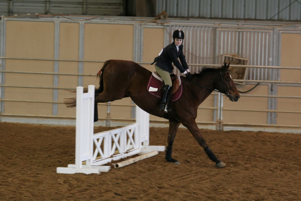 alex/ttu_tamu_show/img_0115.jpg
