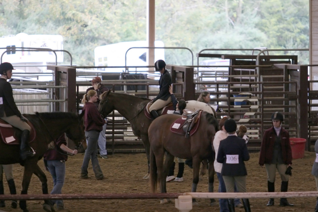 alex/ttu_tamu_show/img_0118.jpg