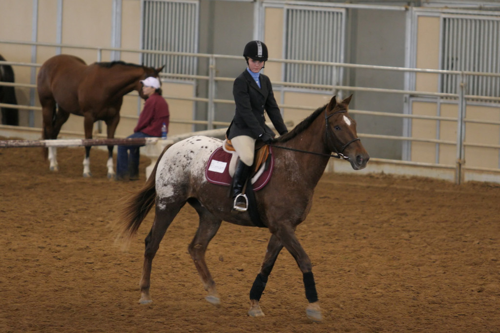 alex/ttu_tamu_show/img_0119.jpg