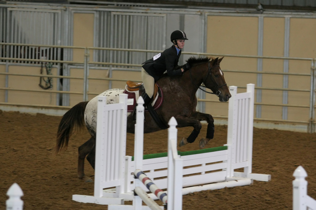 alex/ttu_tamu_show/img_0121.jpg